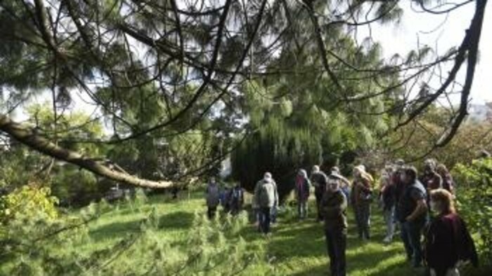 Džungľa v košickej botanickej záhrade
