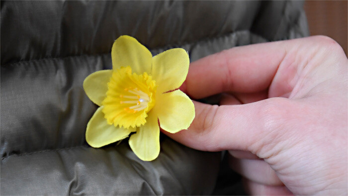 De nuevo se celebra la recolecta por el “Día de los Narcisos”