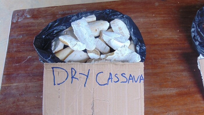 vysuseny maniok.JPG