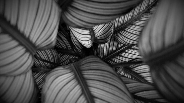 Zamyslenie / Detaily