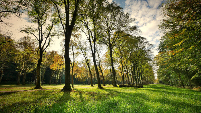 Ďalší mestský park v Petržalke