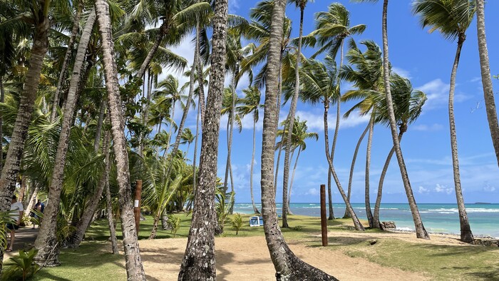 las terrenas4.JPG