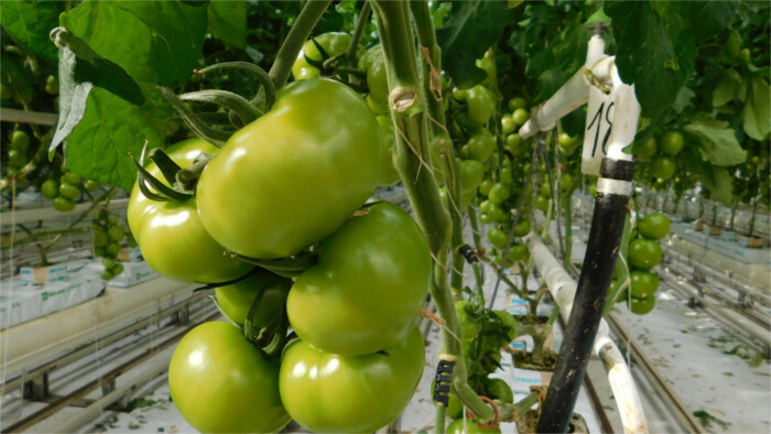 Food producers sound alarm