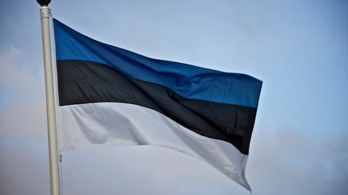 Defence Ministry State Secretary meets Estonian Ambassador 
