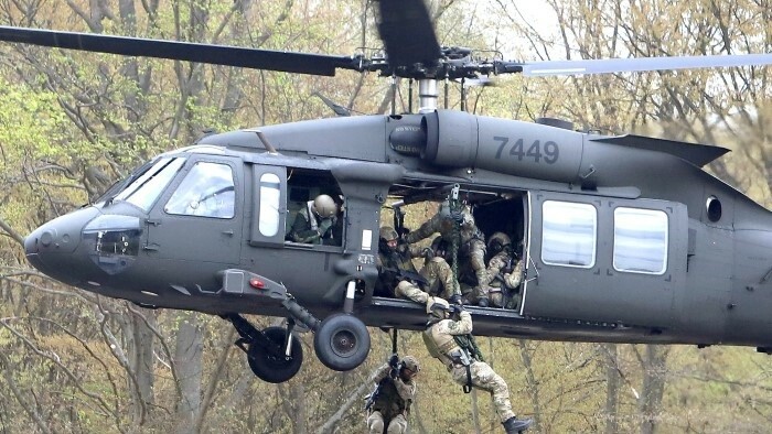 Военные учения международных подразделений в Лешти