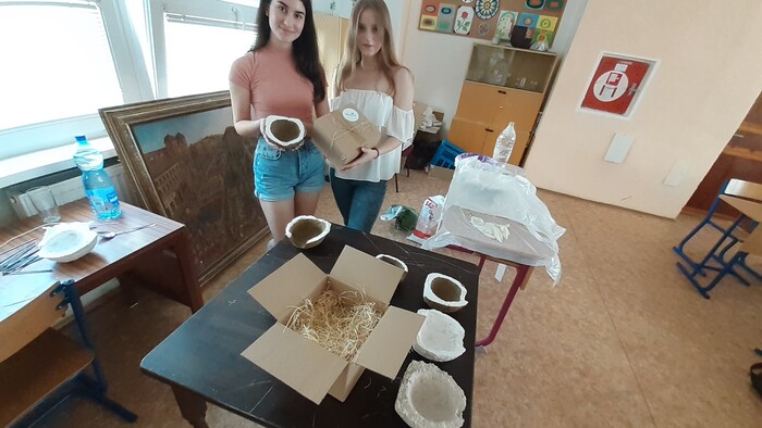 Ekologické hniezdo pre lastovičky