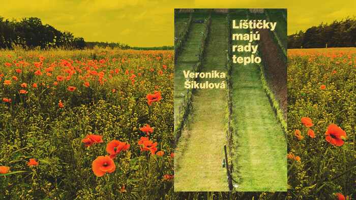 Čítanie na pokračovanie: Líštičky majú rady teplo / Veronika Šikulová
