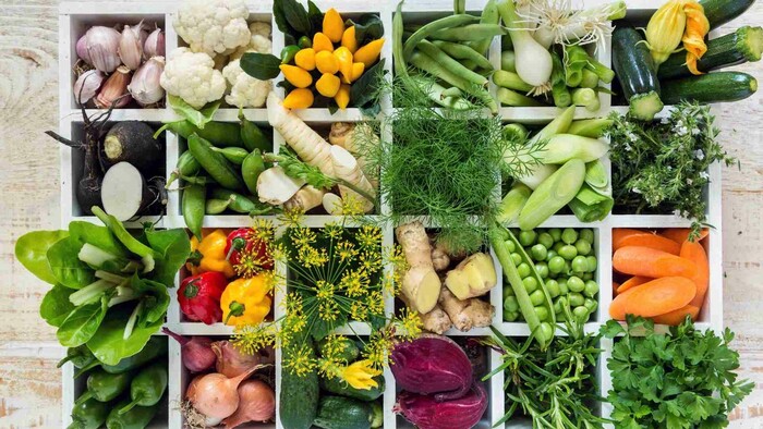 Ingrediencie