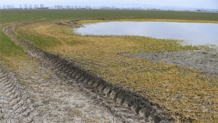 Grundwasser – eine übersehene Ressource