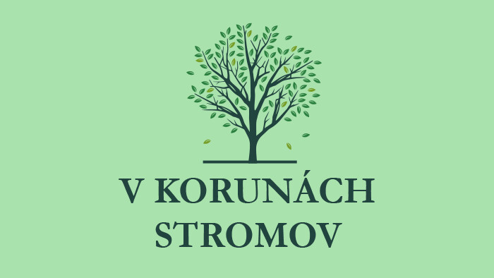 V korunách stromov: Tis červený v Bučanoch 