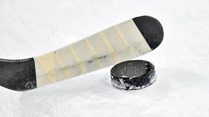 Hokej: Pred draftom NHL