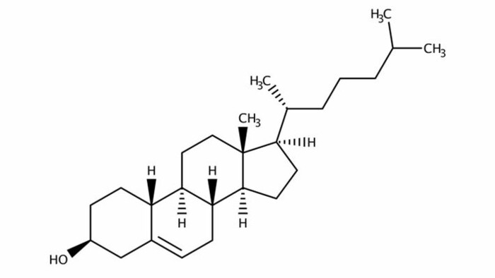 Úprava cholesterolu modifikáciou génu