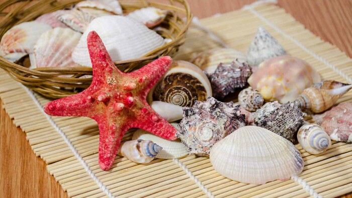 Zakázané suveníry z dovolenky