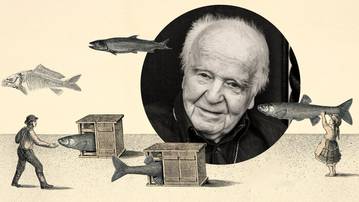 Fenomény: Albert Marenčin