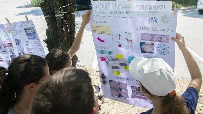 Summer school for young scientists