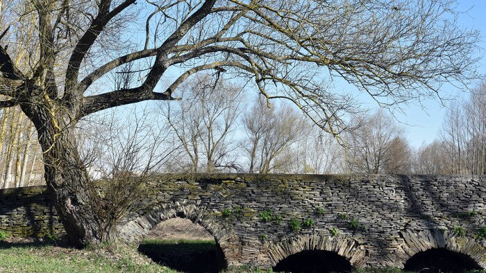 Mosty na Dolnom Zemplíne