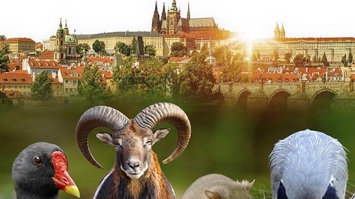 Jan Hošek, režisér nového filmu Planeta Praha v Ráne na eFeMku