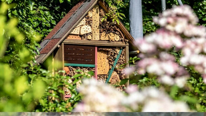 Najväčší hmyzí hotel na svete stojí v Škótsku