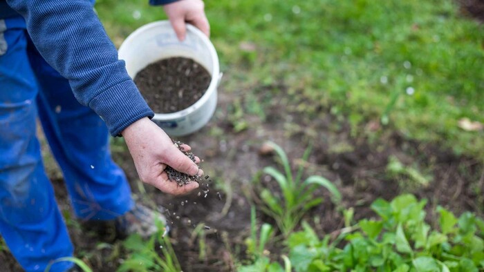 Nedostatok hnojív znižuje úrodu 