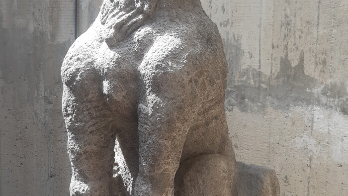 20220809_114335.jpg