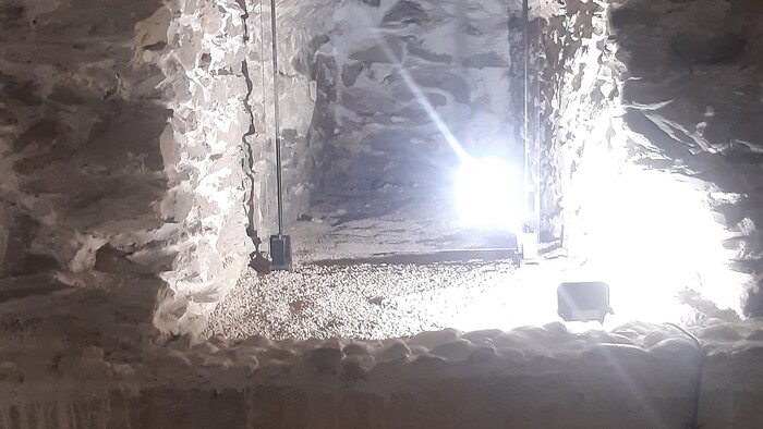 20220809_114357.jpg