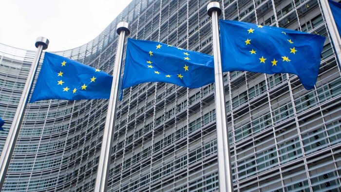 Voľby do Európskeho parlamentu