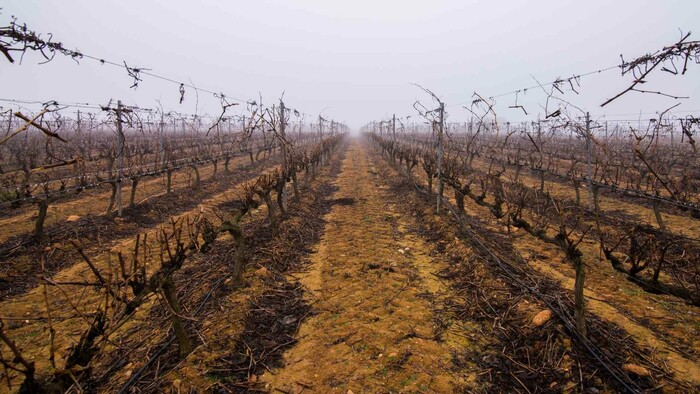 Klimatická zmena a horúčavy