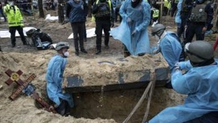 Borovicové háje vydávajú otrasné svedectvá