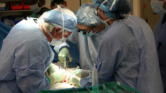 Transplantácie sa opäť rozbiehajú