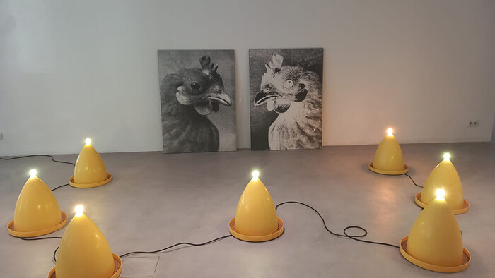 Mestská galéria súčasného umenia PLATO_11.jpg