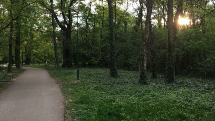 Chodievate do verejných parkov a záhrad?