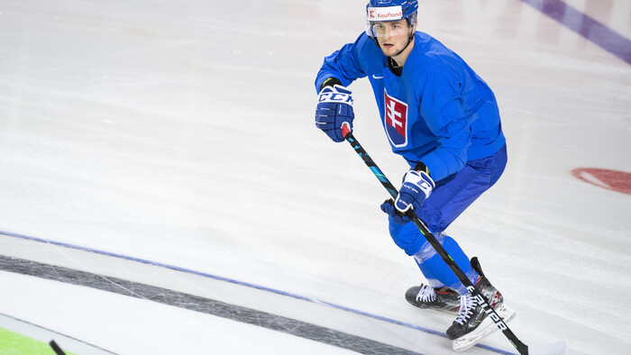 Hokej: extraligisti v reprezentácii