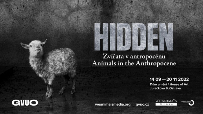 V Ostrave je medzinárodná putovná výstava Hidden - Zvieratá v antropocéne