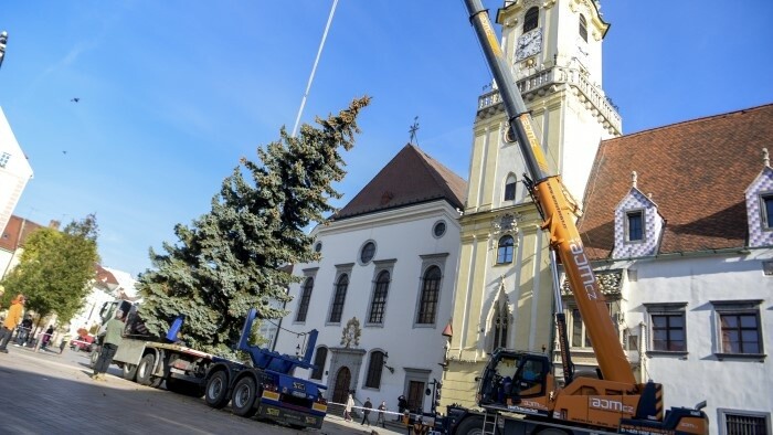 Central Christmas tree already stands in Bratislava 