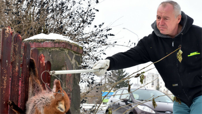 Retour de la rage en Slovaquie
