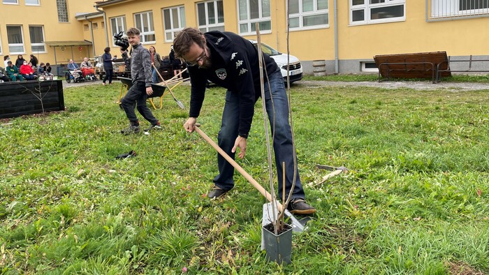sadenie stromov 4.jpg