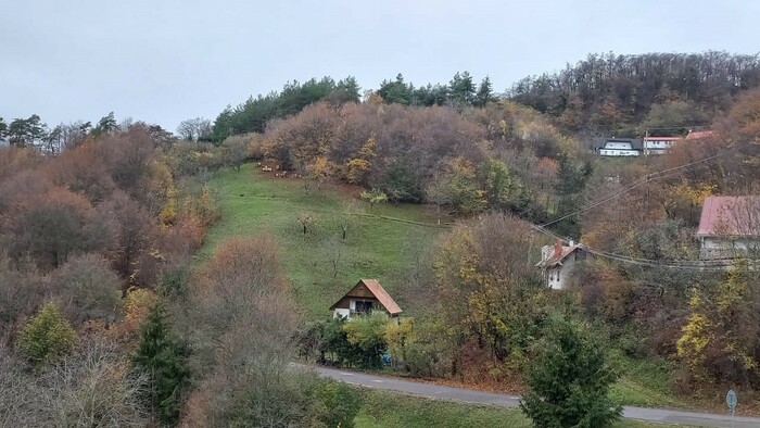 kopanice 1.jpg