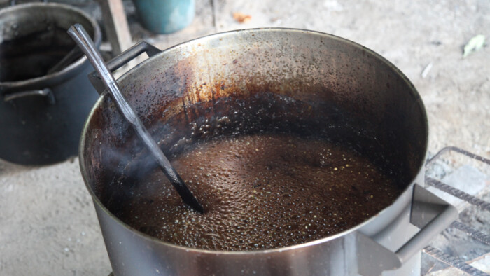 ayahuasca.png