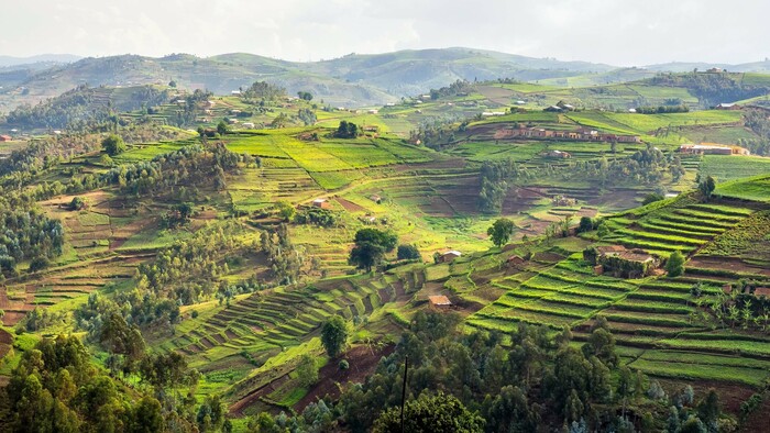 rwanda.JPEG
