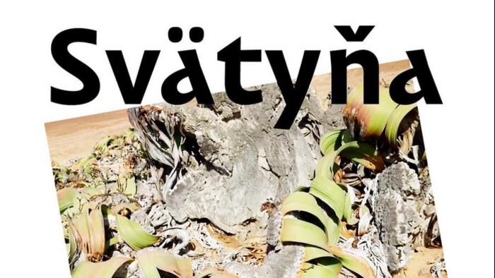 Tvorba Tamary Kametani na výstave Svätyňa v Nitrianskej galérii 