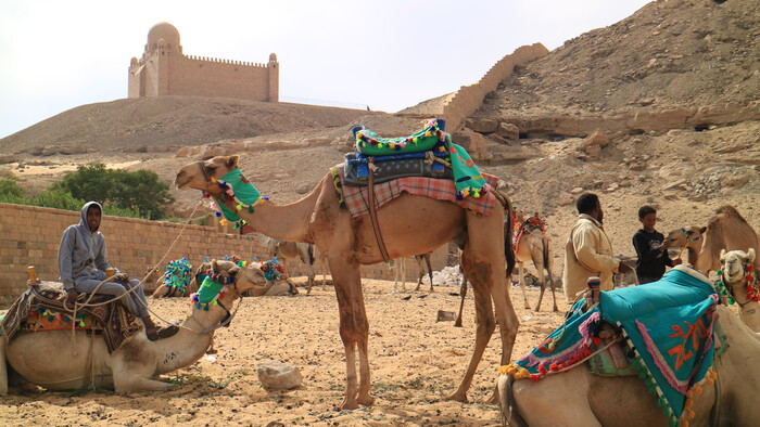 Egypt: Čaro krajiny počas zimy