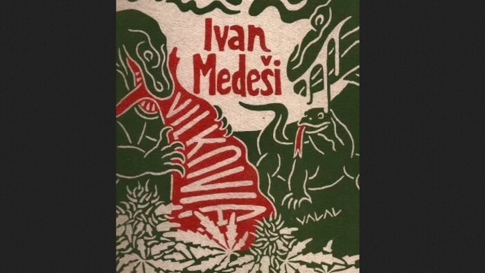 Literárna recenzia / Sloboda rozprávania: prebúdzanie sa neprebudeného