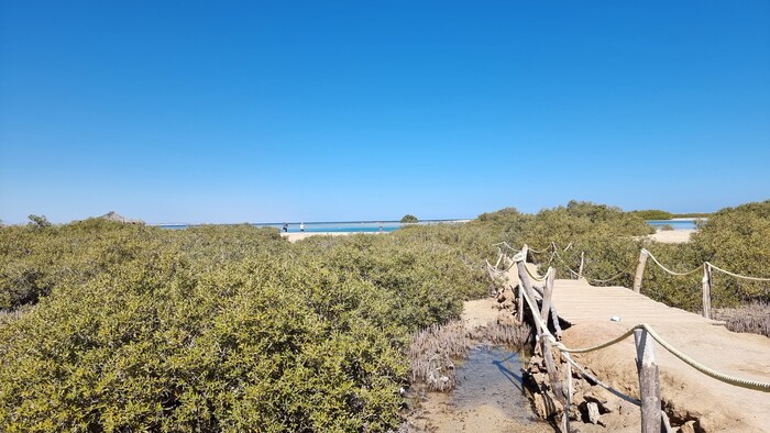 Wadi El Gemal 2.jpg