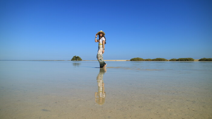 Wadi El Gemal.jpg