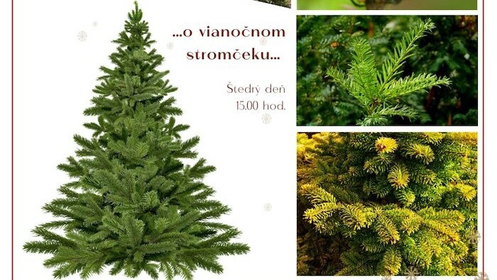 O vianočnom stromčeku