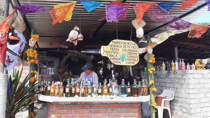 Predavaü mezcalu.jpg