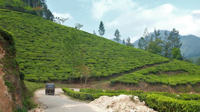 30-Kerala.JPG