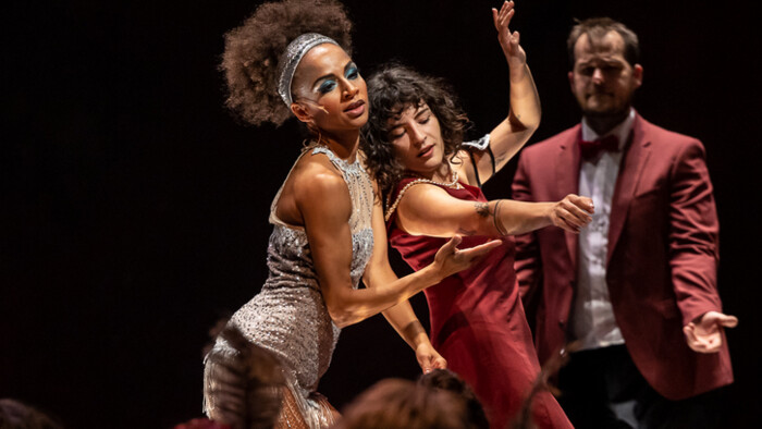 Recenzia operety Ples v hoteli Savoy
