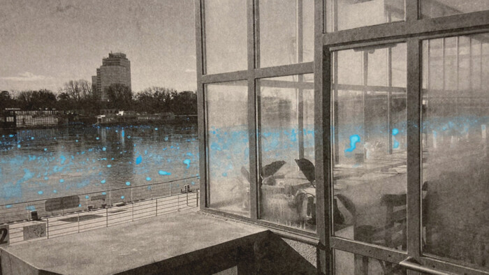 V Stredoeurópskom dome fotografie otvorili výstavu Laury Belišovej 