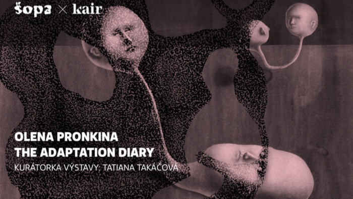 The adaptation diary v Šopa Gallery